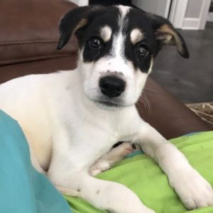 Meet your Posher, Kaitlin